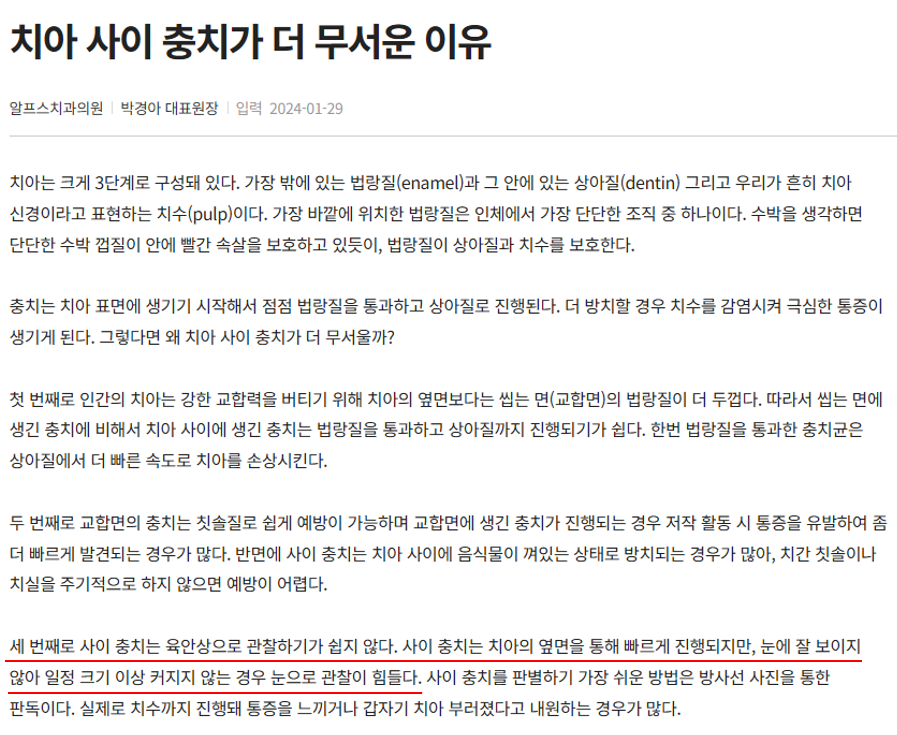 치아 사이 충치가 더 무서운 이유에 대한 치과 정보 웹페이지의 일부